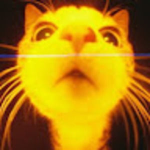 Meet your Posher, Angelena